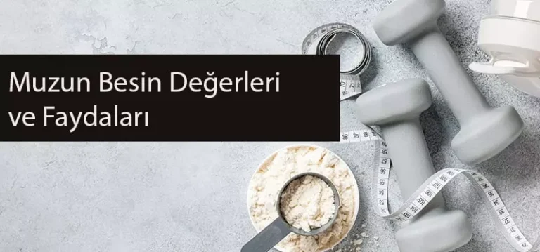 Muzun Besin Değerleri Ve Faydaları