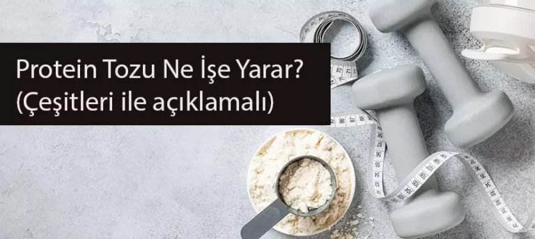 Protein Tozu Ne İşe Yarar?