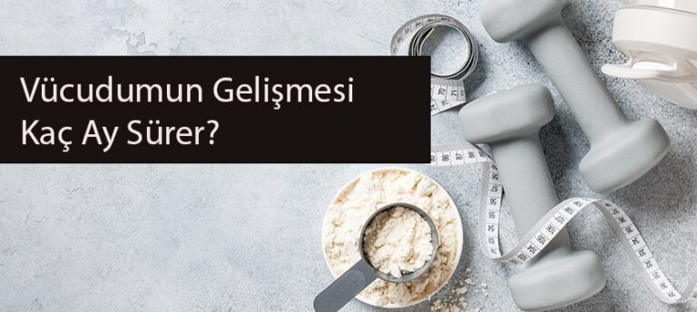 Vücudumun Gelişmesi Kaç Ay Sürer?